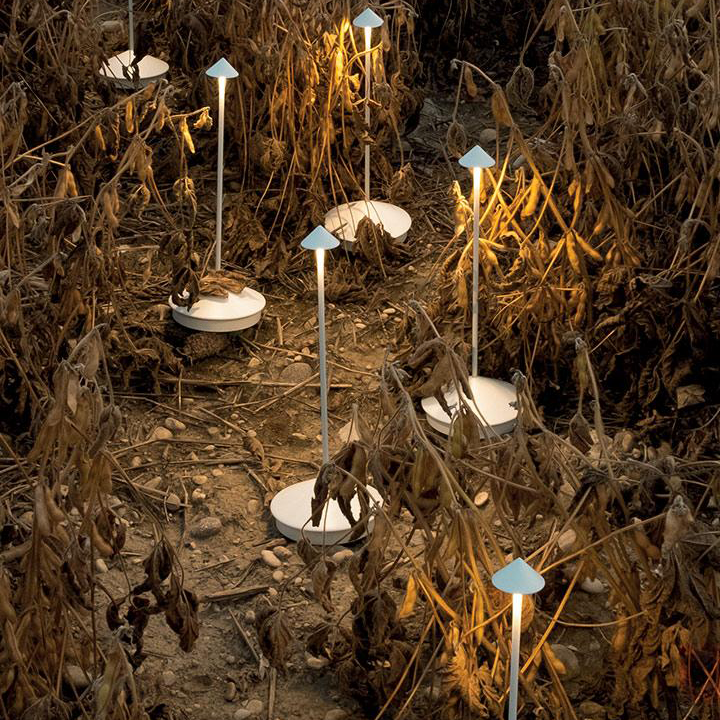 Lámpara de mesa LED minimalista 2024: iluminación inalámbrica, resistente al agua y regulable 
